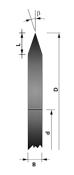 bilemesiz-cift-yön-egilimli